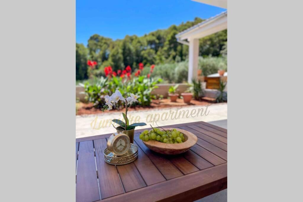 Seaview Pool Apartment-Lumiere, Island Hvar-Gdinj 外观 照片